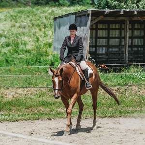 Meet your Posher, Brandy